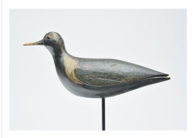 Mark McNair – Black Bellied Plover – 2021