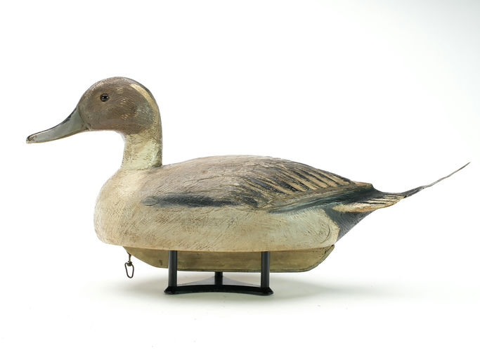 Ben Schmidt – Pintail – 2025