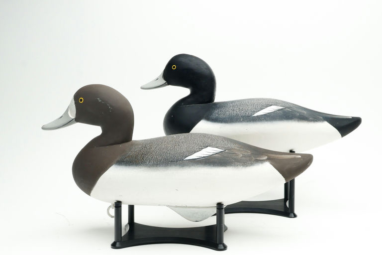 Charlie Joiner – Pair of Bluebill – 2026