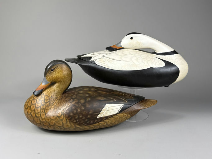 Jode Hillman – Labrador Duck – 2026