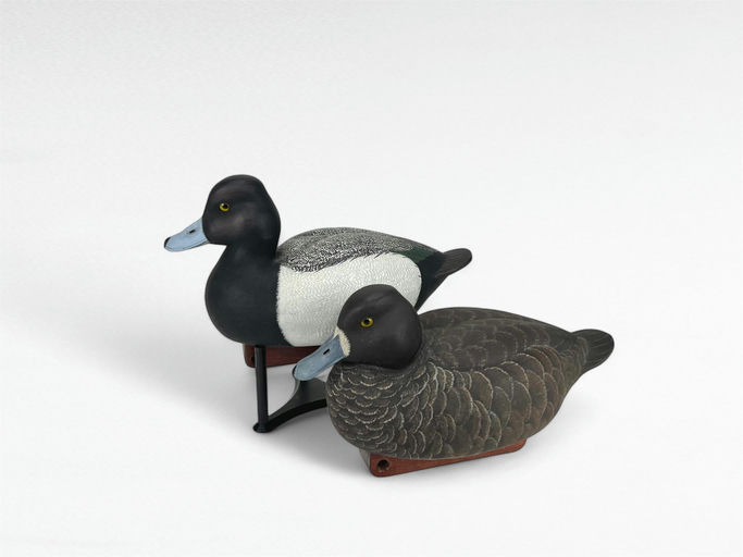 Mike Gould — Lesser Scaup Pair