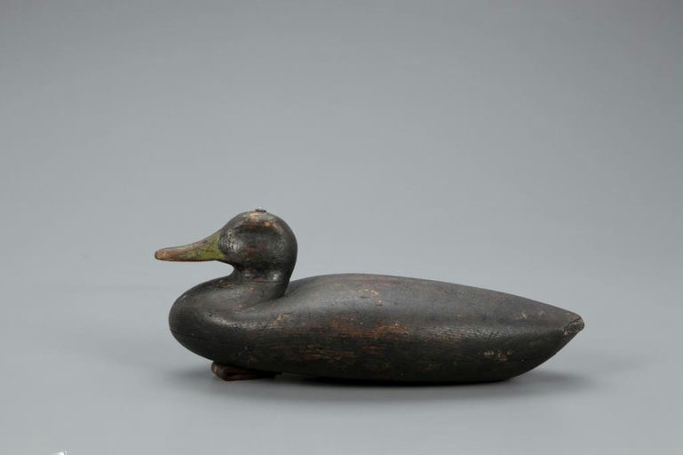Albert Laing – Early Tucked-Head Black Duck – 2021