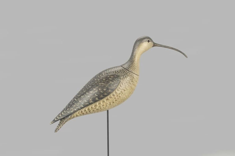 Marty Hanson – Packable Curlew – 2022