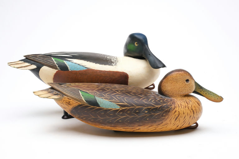 Bob White – Pair of Shoveler – 2026