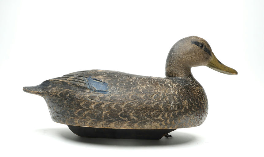Ben Schmidt – Black Duck – 2026