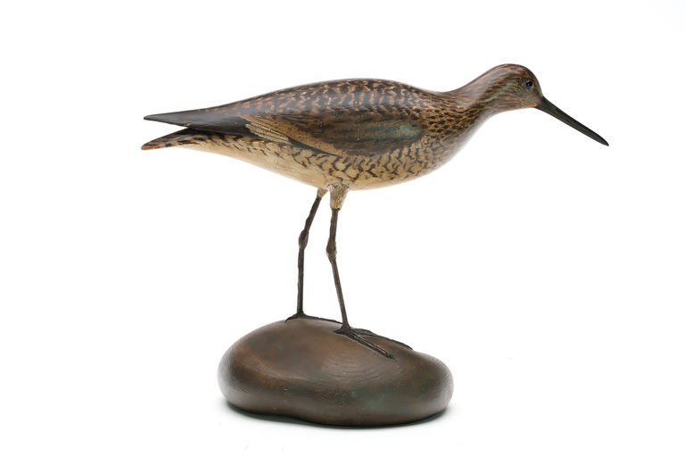 Elmer Crowell – Willet – 2026