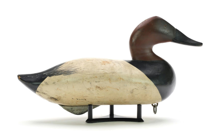 R. Madison Mitchell – Canvasback – 2024
