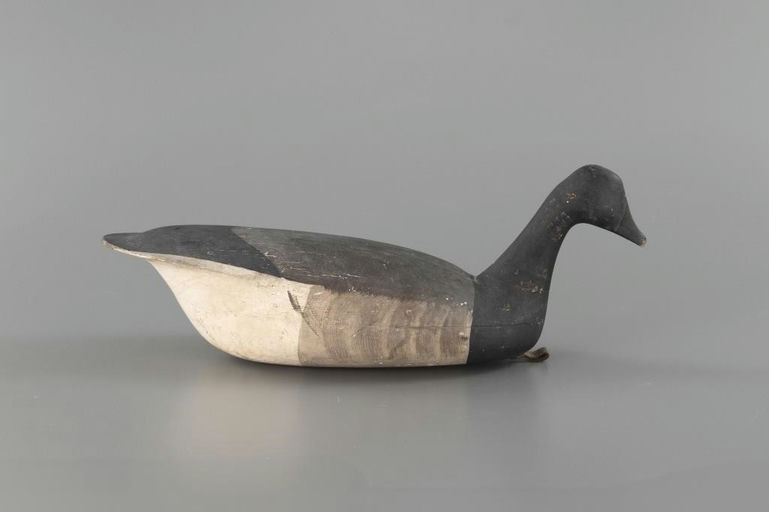 Lloyd Parker – Swimming Brant – 2025