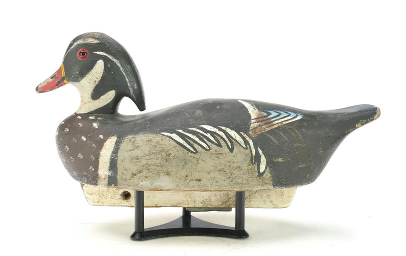 John McLoughlin – Wood Duck – 2025