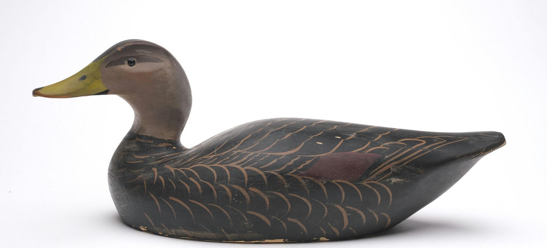 Ward Brothers – Black Duck – 2026