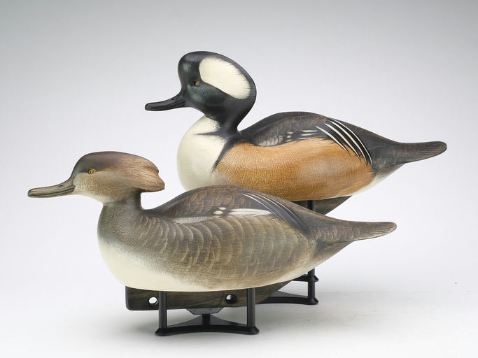 Jim Schmiedlin – Pair of Hooded Merganser – 2024