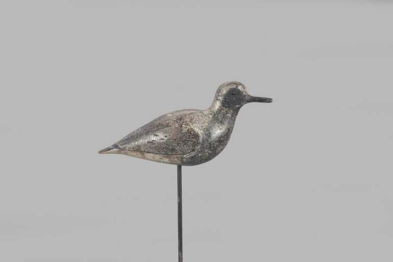 John Dilley – Black Bellied Plover – 2022