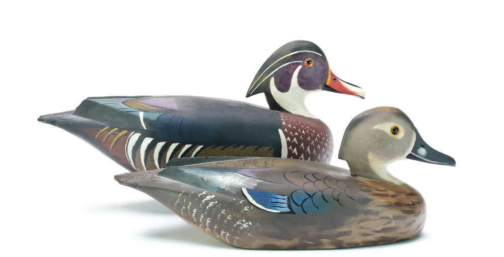 David W. Nichol – Wood Duck – 2025