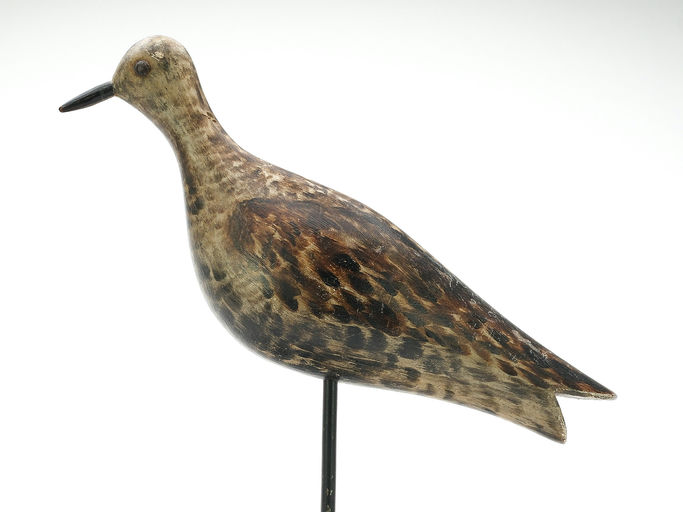 Joseph Lincoln – Plover – 2025