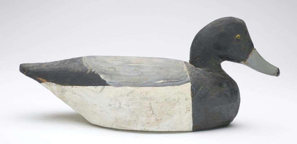Miles Hancock – Scaup – 2023