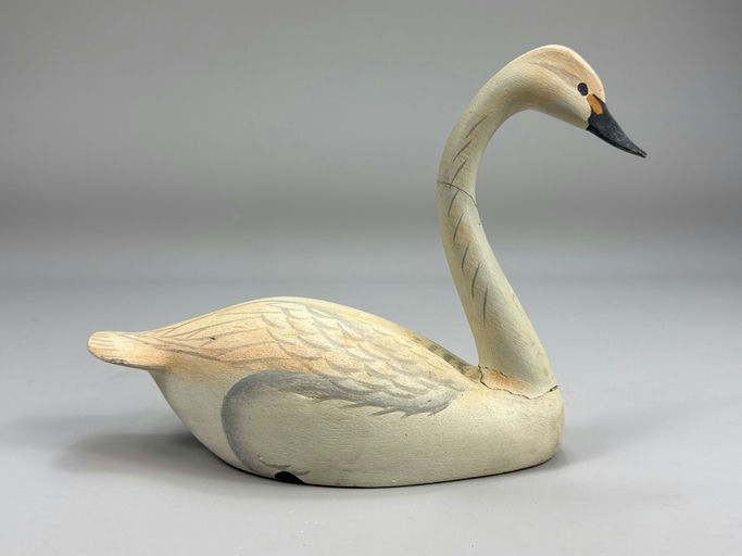 Oliver Lawson – Swan – 2026