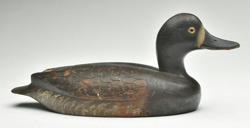 David W. Nichol – Scaup – 2023