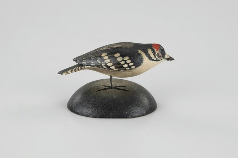 Elmer Crowell – Miniature Downy Woodpecker – 2026