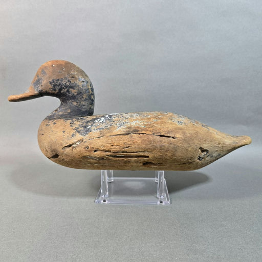 Holly Family – Scaup – 2026
