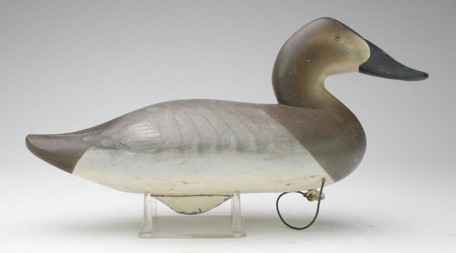 Charlie Joiner – Canvasback Hen – 2024