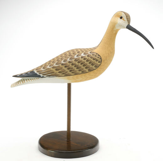 Harry V. Shourds – Curlew – 2024