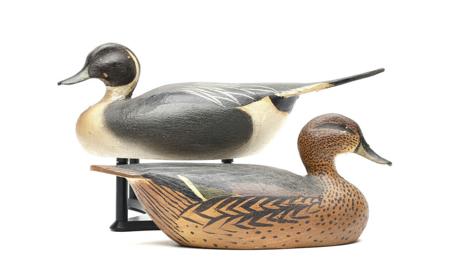 Ward Brothers – Pair of miniature pintails – 2026