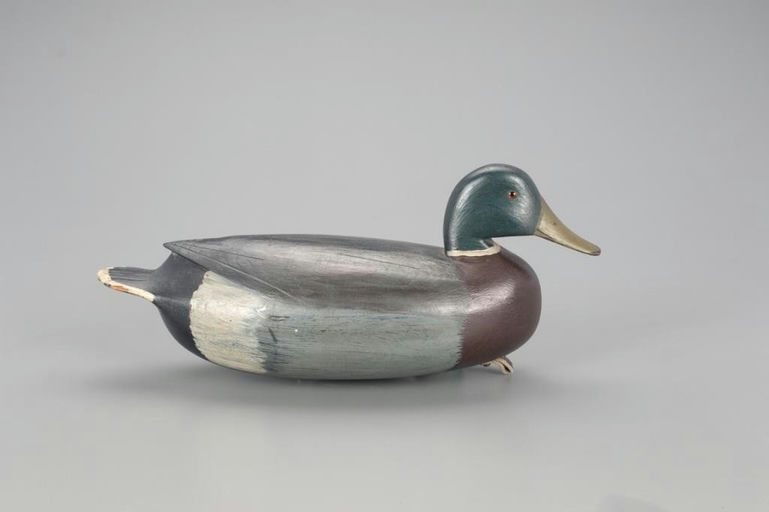William Quinn – Mallard Drake – 2021