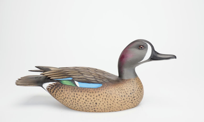Jim Schmiedlin – Blue-winged Teal Drake – 2025