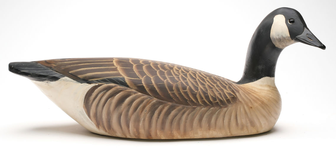Ward Brothers – Canada goose – 2026