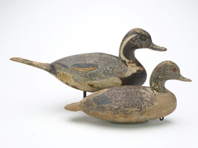 Ira Hudson – Pair of Pintails – 2024