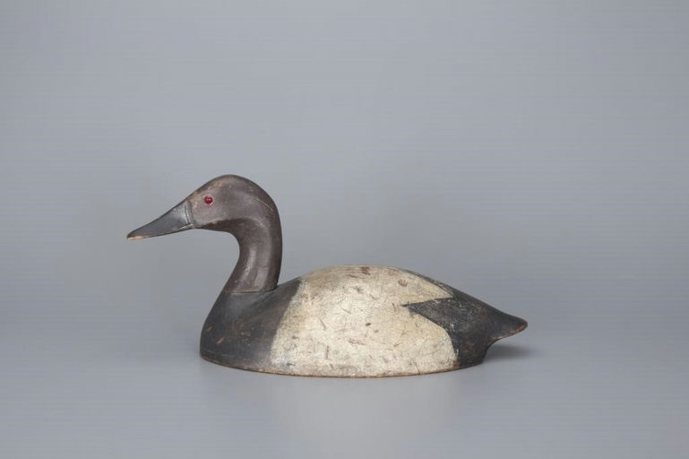 Isaiah Brown – High-head Canvasback Drake – 2017