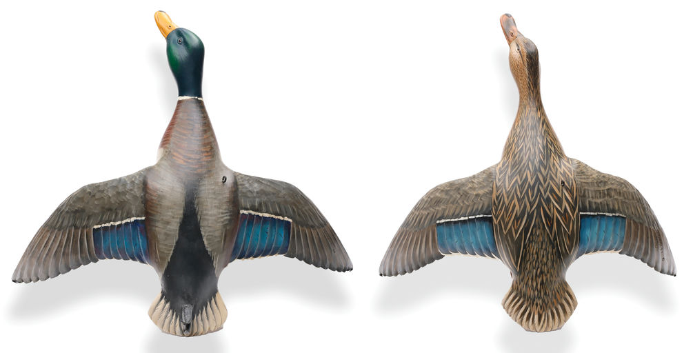 Mike Borrett – Mallard – 2026