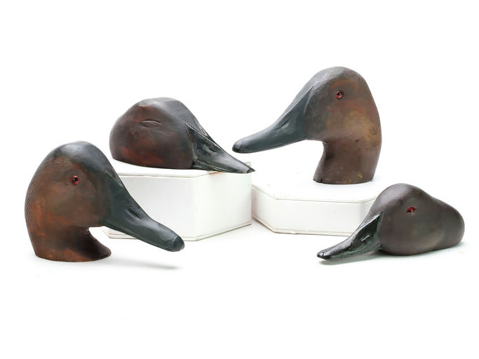Tom Schroeder – Canvasback – 2025