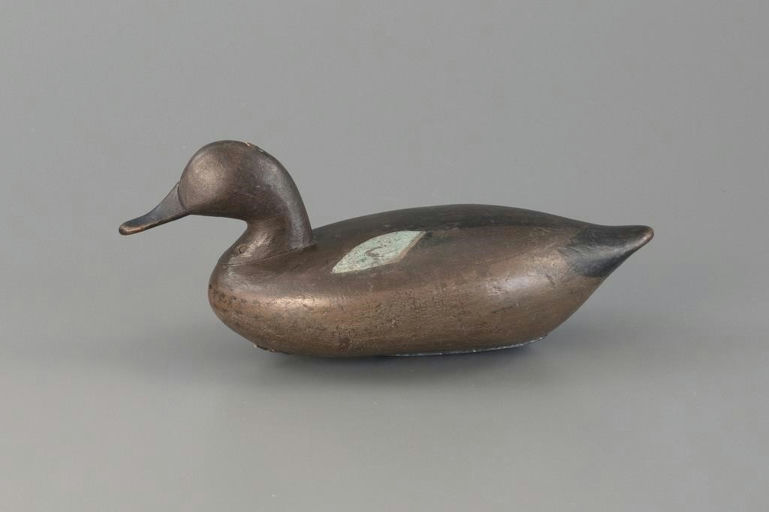 James Holly – Rare Blue-Winged Teal – 2025