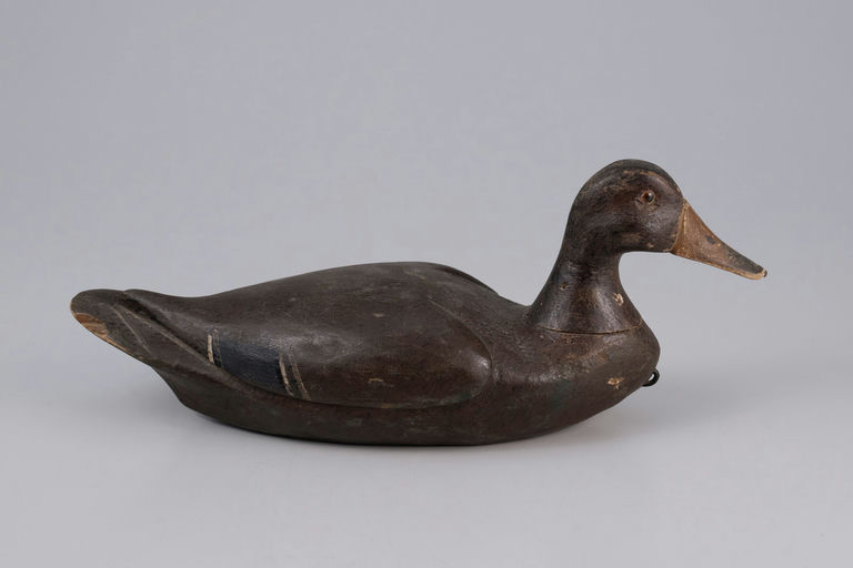 Fred Johnson – Mallard Hen – 2026