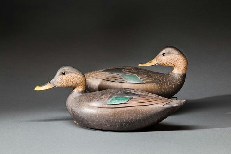 Marty Collins – Two Black Ducks – 2015