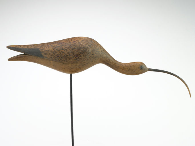 Mark McNair – Running Curlew – 2024