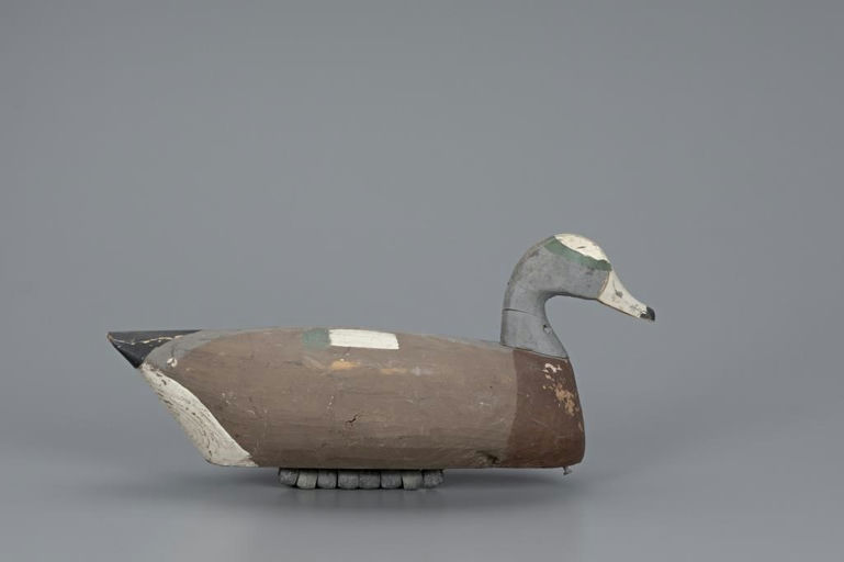 Callie O'Neal – Wigeon Drake – 2019
