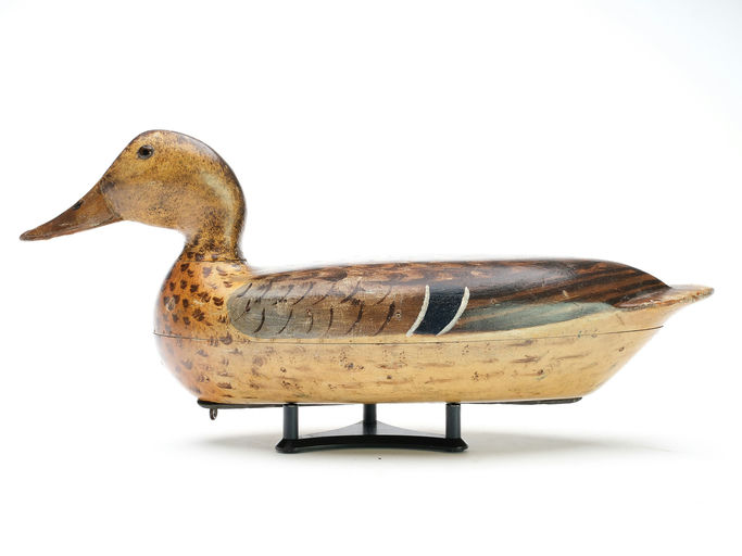 Bert Graves – Mallard – 2025