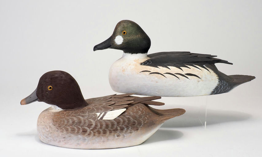 Reg Bloom — Decorative Goldeneye Pair