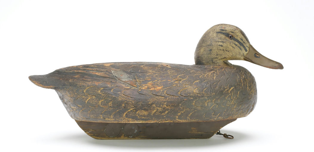 Ben Schmidt – Black Duck – 2025