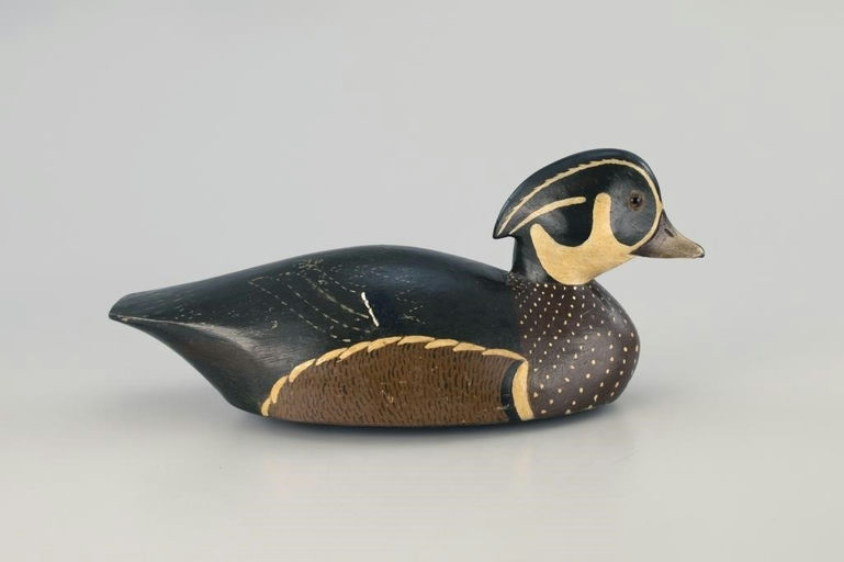 Harold Augustus Wilkins – Wood Duck – 2026