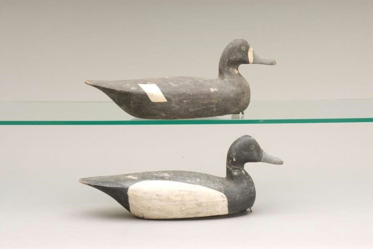 Jay C. Parker – Bluebill Pair – 2010