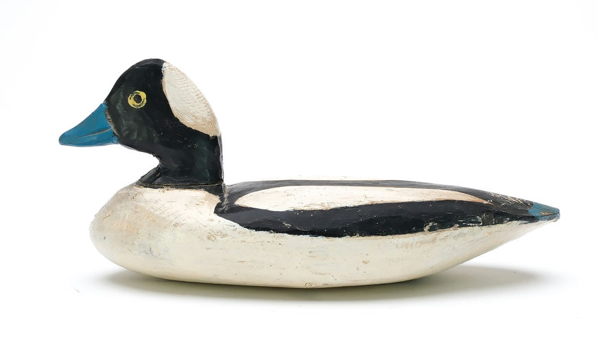 Doug Jester – Bufflehead – 2025