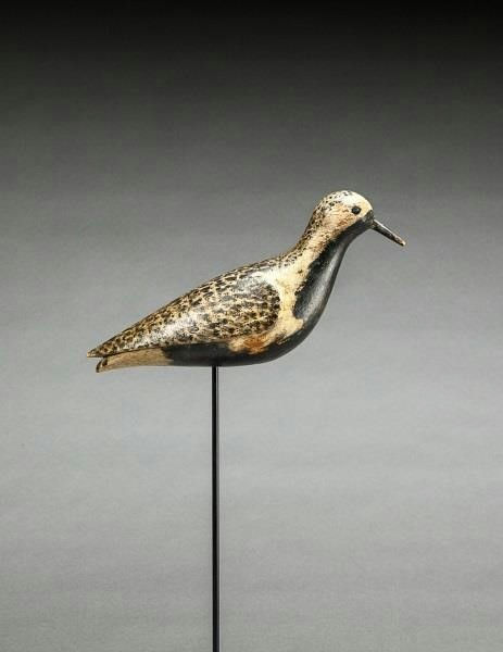 Daniel Lake Leeds – Black Bellied Plover – 2014