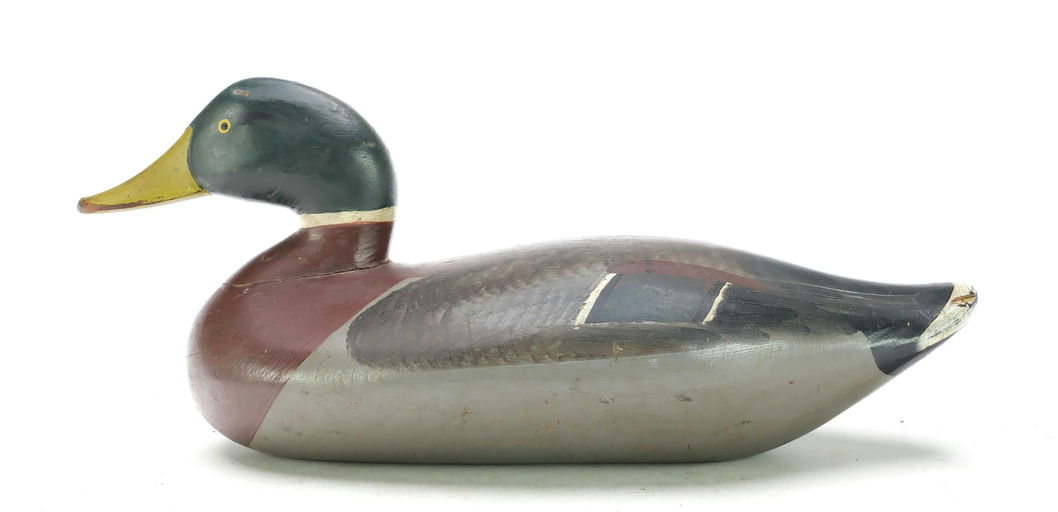 R. Madison Mitchell – Duck – 2025