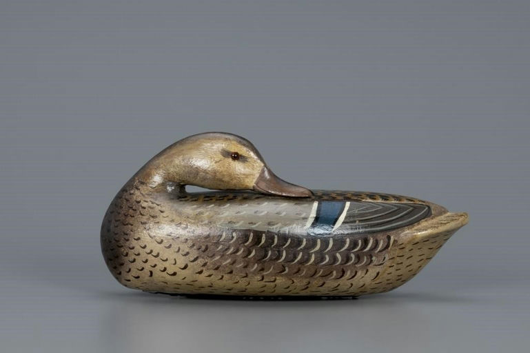 Charles Perdew – Preening Mallard Hen – 2019