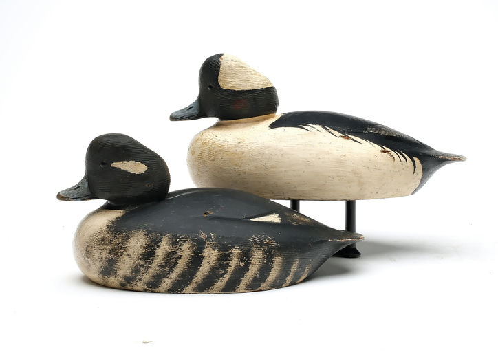 Ken Anger – Bufflehead – 2025
