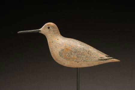 John Dilley – Dowitcher In Winter Plumage – 2007
