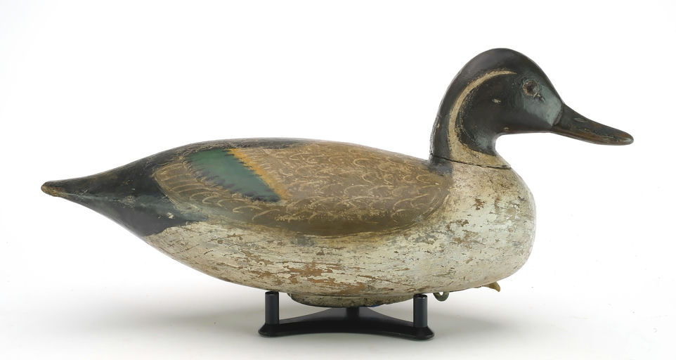 Ira Hudson – Pintail – 2024
